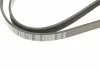 Ремень поликлиновый 5PK1195 BOSCH 1987948413 (фото 5)