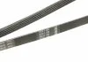 Ремень П-клиновый 5PK1592 BOSCH 1987946022 (фото 4)