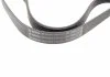 Ремень П-клиновый 6PK1015 BOSCH 1987947816 (фото 3)