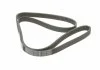 Ремень П-клиновый 6PK1600 BOSCH 1987946060 (фото 2)