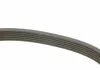 Ремень П-клиновый 6PK1600 BOSCH 1987946060 (фото 3)