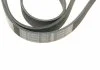 Ремень П-клиновый 6PK1600 BOSCH 1987946060 (фото 4)