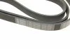 Ремень П-клиновый 6PK1600 BOSCH 1987946060 (фото 5)