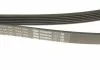 Ремень поликлиновый 6PK1693, 1.2 TSI 10-15 BOSCH 1987947951 (фото 4)