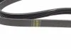 Ремень поликлиновый 5PK1000 BOSCH 1987947814 (фото 2)
