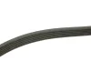 Ремень поликлиновый 6PK1920 BOSCH 1987946015 (фото 3)