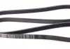 Ремень П-клиновый 5PK1750 BOSCH 1987946045 (фото 2)