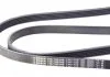Ремень П-клиновый 5PK1750 BOSCH 1987946045 (фото 3)