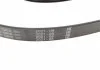 Ремінь генератора, 2.2-3.0CDI, (+AC) (6PK2285) BOSCH 1987946082 (фото 3)