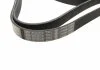 Ремень П-клиновый 6PK1540 BOSCH 1987946099 (фото 2)