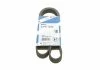 Ремінь поліклиновий 6PK1030 BOSCH 1987946051 (фото 1)