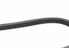 Ремень П-клиновый 4PK1520 BOSCH 1987947907 (фото 4)