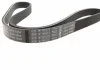 Ремень П-клиновый 6PK1054 AUDI A3 FIAT Doblo 1.9JTD BOSCH 1987948452 (фото 4)