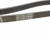 Ремень поликлиновый 6PK1264 BOSCH 1987946102 (фото 2)