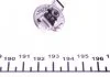 Лампа H1 70W 24V Trucklight картон - кратн. 10 шт BOSCH 1987302411 (фото 3)