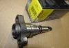 Плунжерная пара DAF 11,6 (6цил.) 93-01 BOSCH 2418455379 (фото 1)