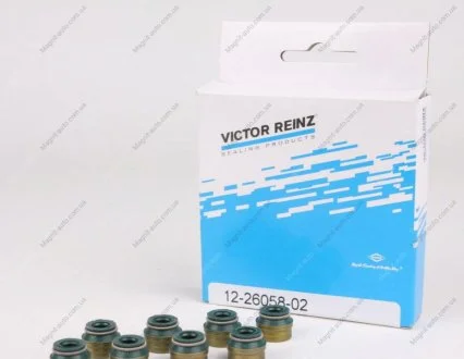 Сальники клапанов (комплект) VICTOR REINZ 12-26058-02