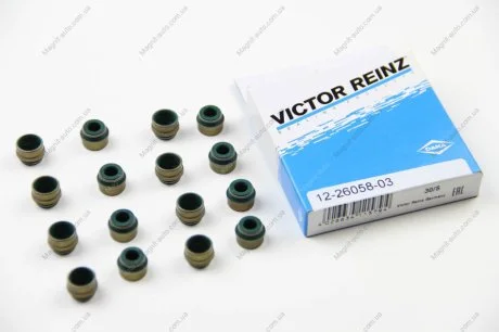 Сальники клапанов (комплект) VICTOR REINZ 12-26058-03