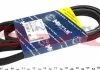 Ремінь генератора, Fiat Bravo 1.2 16V 98-01 MEYLE 050 005 1588 (фото 1)