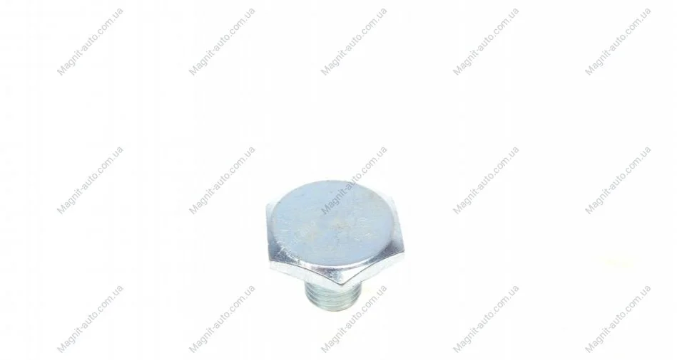 Масляные пробки/M10x125 L=13 FISCHER Fischer Automotive One (FA1) 256.851.001 (фото 1)