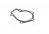 Прокладка помпи HYUNDAI G4GC (вир-во, Korea) PARTS-MALL P1H-A003 (фото 1)
