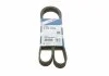 Ремень поликлиновой 6PK1256 BOSCH 1987947887 (фото 1)