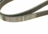 Ремень поликлиновой 6PK1256 BOSCH 1987947887 (фото 4)