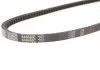 Ремінь клиновий, AUDI 100, FORD Scorpio/Sierra, MAZDA 323-929, NISSAN Patrol, VW Passat 1.2-2.9 86- Gates 6466MC (фото 3)