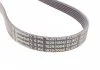 Ремінь генератора, 6PK1029 ELAST Contitech 6PK1029ELAST (фото 2)