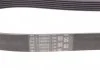 Ремінь генератора, 6PK1029 ELAST Contitech 6PK1029ELAST (фото 3)