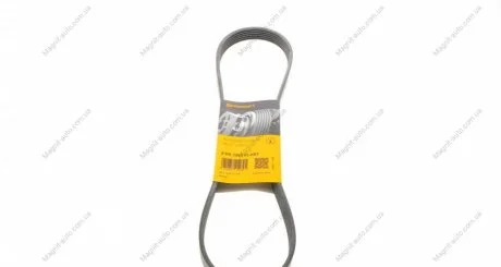 Ремень поликлиновый Contitech 6PK1033ELAST