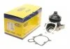 Насос охлаждающей жидкости MAGNETI MARELLI 352316170049 (фото 1)