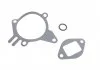 Водяной насос (произ-во Magneti Marelli кор.. WPQ0556) MAGNETI MARELLI 352316170556 (фото 5)