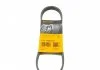 Ремень поликлиновый (произ-во ContiTech) Contitech 5PK705ELAST (фото 1)