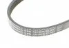 Ремень поликлиновый (произ-во ContiTech) Contitech 5PK705ELAST (фото 3)