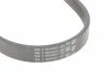 Ремень поликлиновый (произ-во ContiTech) Contitech 5PK705ELAST (фото 4)