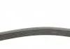 Ремень поликлиновый 5PK716 Contitech 5PK716ELAST (фото 2)