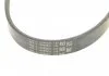 Ремень поликлиновый 5PK716 Contitech 5PK716ELAST (фото 3)