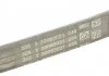 Ремень поликлиновый 4PK753 Contitech 4PK753ELAST (фото 3)