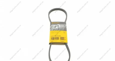 Ремень поликлиновый 4PK885 Contitech 4PK885ELAST