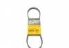 Ремень поликлиновый 4PK826 Contitech 4PK826ELAST (фото 1)
