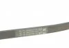 Ремень поликлиновый 4PK826 Contitech 4PK826ELAST (фото 4)