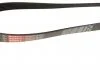 Ремень клиновый, FORD C-Max/Fiesta/Focus, MAZDA 2, VOLVO 2/C30/S40/V50 1.25-1.6 98- Gates 6PK1042-1059SF (фото 2)