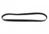 Ремень клиновый, FORD C-Max/Fiesta/Focus, MAZDA 2, VOLVO 2/C30/S40/V50 1.25-1.6 98- Gates 6PK1042-1059SF (фото 4)