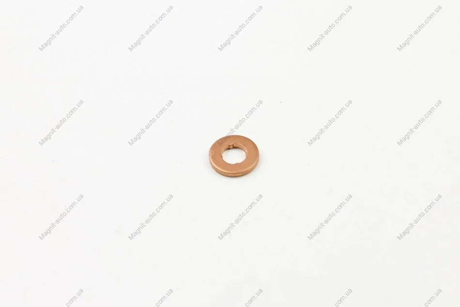 Кольцо уплотнительное BOSCH F00VC17504 (фото 1)