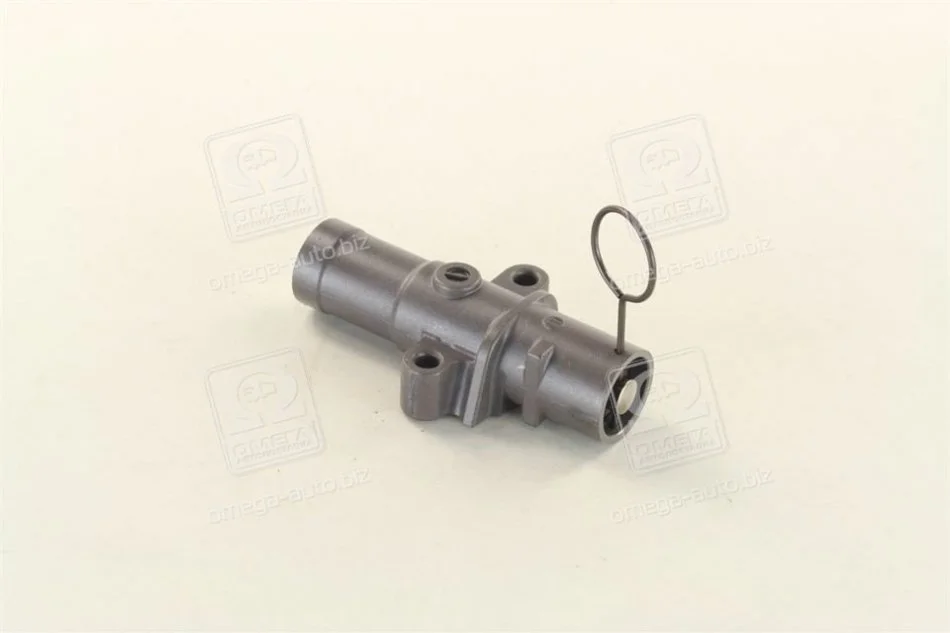 Натяжитель ремня грм AISIN BTH-001 (фото 1)