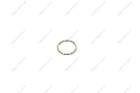 Резиновое кольцо BOSCH 2430210081