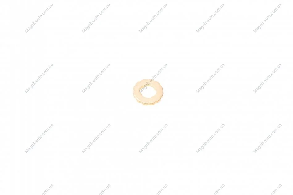 Ущільнювальне кільце BOSCH F00RJ02175 (фото 1)