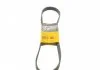 Ремень генератора Jumper/Boxer 2.5 D/TD 94-02/MB OM601/602 88-96 Contitech 6PK1010 (фото 1)