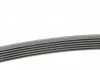 Ремень генератора Jumper/Boxer 2.5 D/TD 94-02/MB OM601/602 88-96 Contitech 6PK1010 (фото 2)